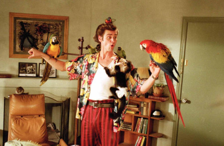 Borítókép: 10 érdekesség az Ace Ventura-filmekből, amiről talán még nem is hallottál