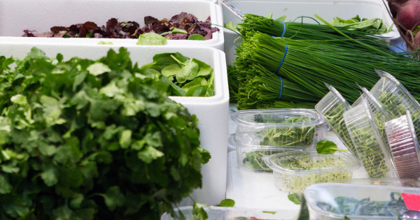 Borítókép: Az egészségügyi szakértő felhívja a figyelmet: ez az elsődleges rákellenes étel, amit mindenkinek fogyasztania kellene