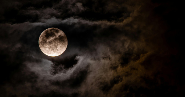 Borítókép: Különleges asztrológiai dinamika köszönt be ma: íme minden, amit a februári telihold hatásáról tudnod kell az asztrológus szerint