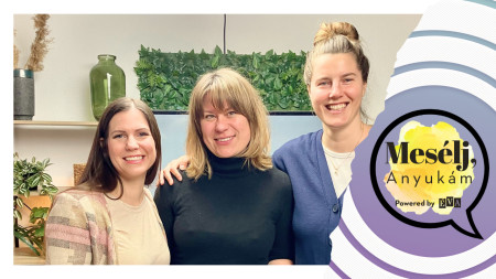 Borítókép: Mesélj, Anyukám! A társszülőségről, az anyává válás alternatív útjáról