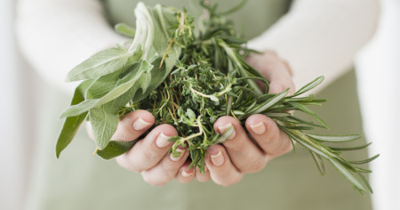 Borítókép: Természetes megoldások epepanaszokra: Íme a 8 leghatásosabb gyógynövény, ami segít rendezni az emésztésedet!