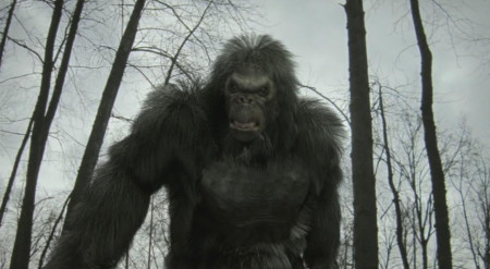 Borítókép: 10 hihetetlen lény, amiről mítoszok és legendák szólnak