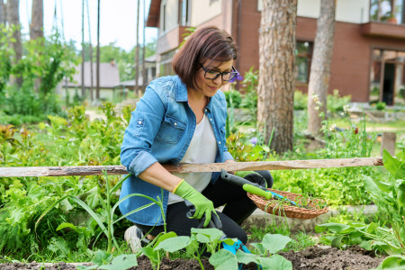Borítókép: 11 környezetbarát praktika, ha nem szeretnél vegyszereket használni a kertedben