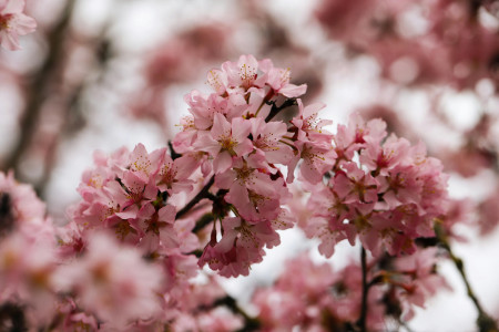 Borítókép: A nagy áprilisi horoszkóp: stabilitást, sikert hoz az elkövetkezendő időszak egyes csillagjegyeknek