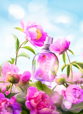 Borítókép: Hamarosan új limitált L’OCCITANE meglepetés