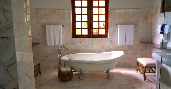 Borítókép: Ez a 8 növény imádni fogja a fürdőszobád párás közegét: életet visznek a térbe és csodásan feldobják a fürdőt