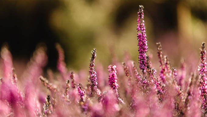 Kattints a képre és jelentkezz!