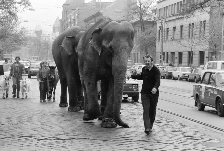 Borítókép: Ezeken sétáltak elődeink: a legjobb utcaképek Budapestről