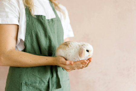 Borítókép: Húsvétfóbia: avagy miért nem kedvelem a nyuszikat? 