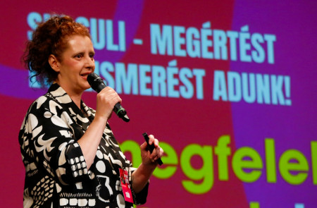 Borítókép: „Az ADHD, autizmus spektrumzavar diagnózisa nem végítélet, sokkal inkább iránytű a szülők számára” – Interjú Zelend Nikivel, az SNI-suli alapítójával