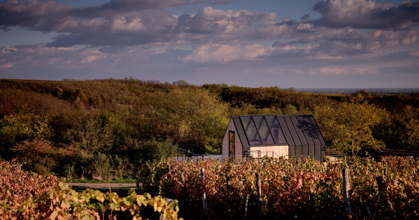 Borítókép: Rangos díjat nyert egy magyar ökoház
