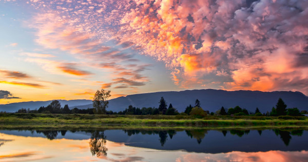 Borítókép: 5 csillagjegy, akinek hihetetlen energiákat hoznak a következő napok - heti horoszkóp: április 28. - május 4.