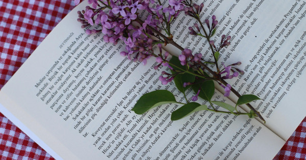 Borítókép: A 7 legijesztőbb romantikus könyv, aminek főszereplője pszichológiai eset