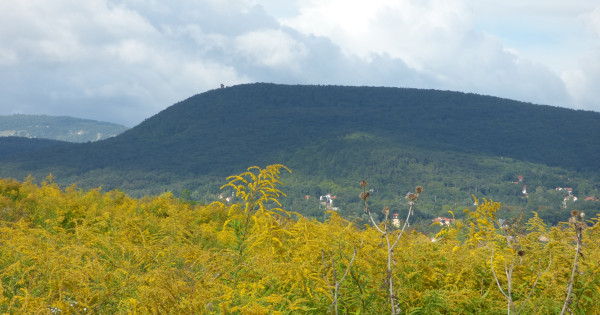 Borítókép: Ez a 7 legszebb túraútvonal Magyarországon kései tavasszal