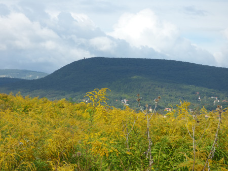 Borítókép: 7 lenyűgöző késő tavaszi túraútvonal Magyarországon