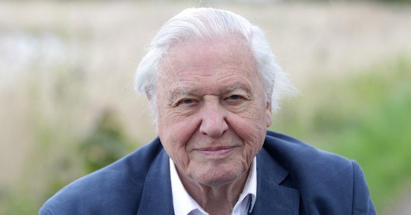 Borítókép: 10 felejthetetlen idézet Sir David Attenborough-tól - szavai mindenki számára motiválók lehetnek!