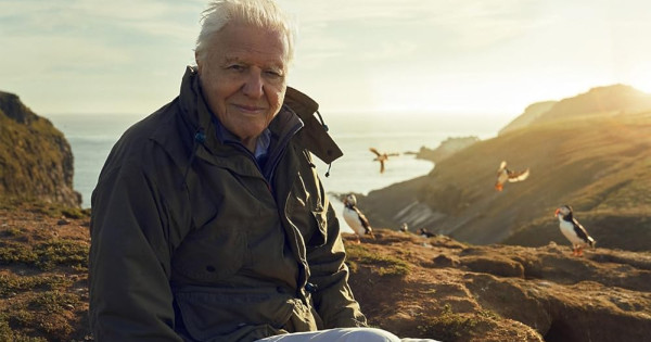 Borítókép: 99 éves lett David Attenborough: Íme 10 sosem hallott érdekesség a világ legismertebb természettudósáról