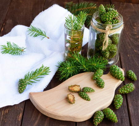 Borítókép: Most kell elkészíteni a gyógyító fenyőrügyszirupot: egyszerűbb, mint hinnéd!