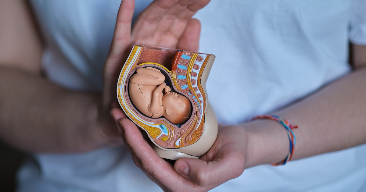 Borítókép: Agyhalottnak nyilvánították a várandós nőt, az abortusztörvény miatt életben kell tartani, amíg meg nem születik a gyermeke