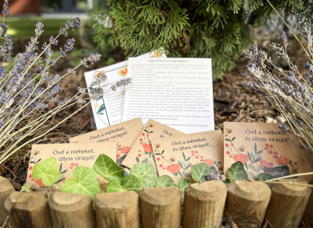 Borítókép: Akár egyetlen virág is életet menthet: több ezer iskolás a beporzók megmentéséért