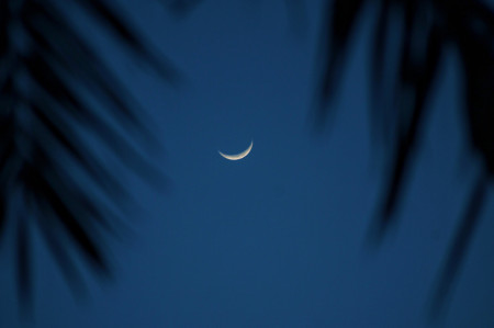 Borítókép: Ezeket a csillagjegyeket segíti a májusi újhold: 5 jegy, aki az égiektől kap támogatást