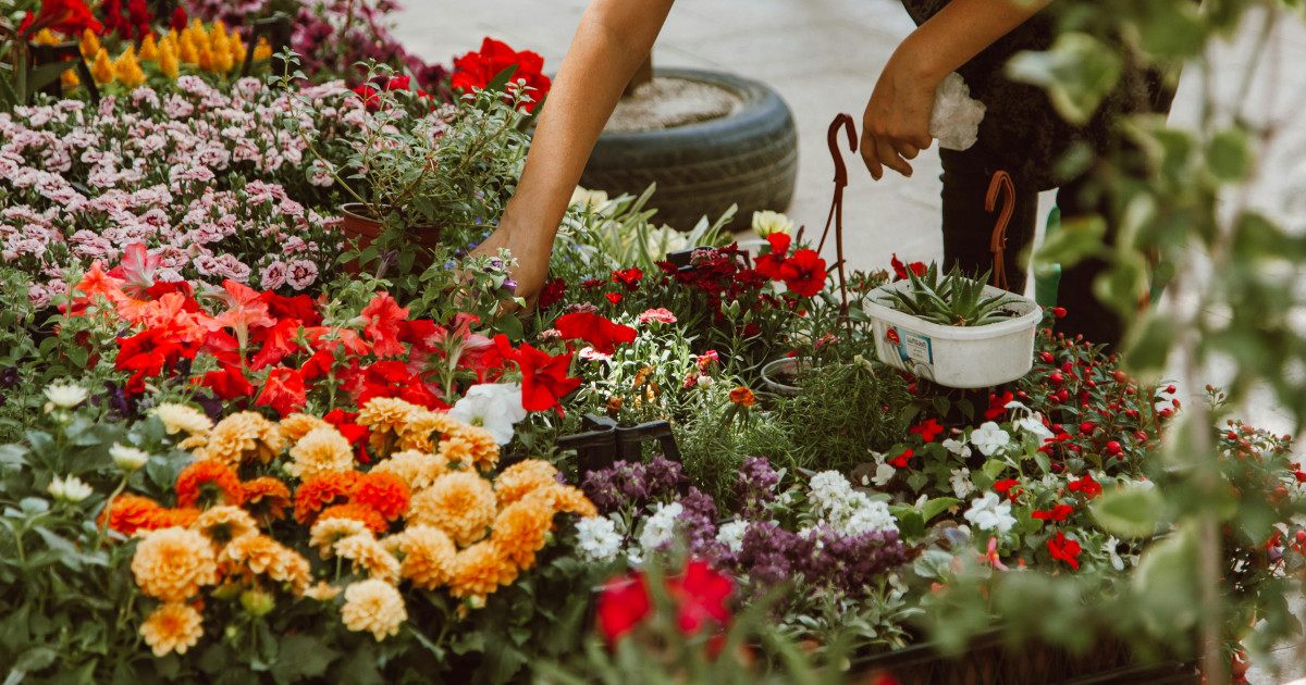 Borítókép: Nem menő a magaságyás, a kertguruk már ebbe ültetik a virágokat! 5 kerti trend, ami megy és 5, ami jön helyettük 2025-ben