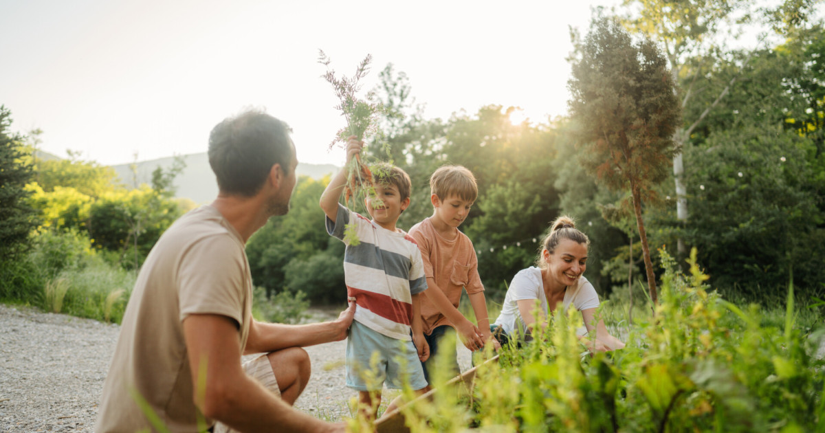 Hogyan tervezzünk fenntartható kertet?