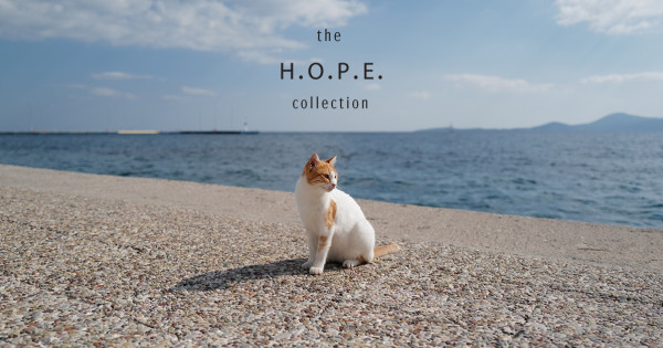 Borítókép: Amikor a divatnak lelke van – így segít állatokat a H.O.P.E. Collection
