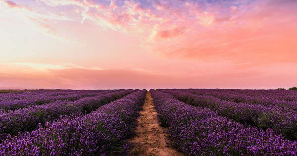 Borítókép: 3 csillagjegy, akinek lelkének legmélyét fordítják fel teljesen a következő napok - heti horoszkóp: június 9-15.