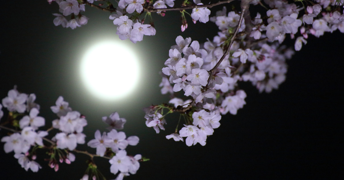 szerencse, csillagjegy