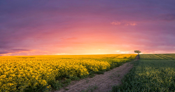 Borítókép: 4 csillagjegy, akinek egy teljesen új szakasz kezdődik az életében - heti horoszkóp: június 16-22.