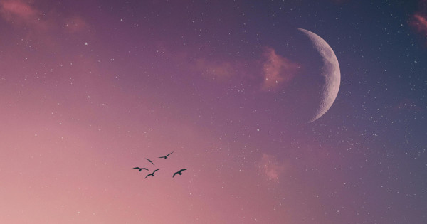 Borítókép: 5 csillagjegy, akinek hatalmas változást vesz az élete még júniusban - nekik kész áldás lesz a Rák újhold!