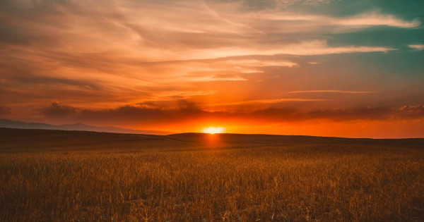 Borítókép: Ez lesz az év 3 legszerencsésebb napja számodra az asztrológus szerint - érdemes előre bevésned a naptáradba őket!