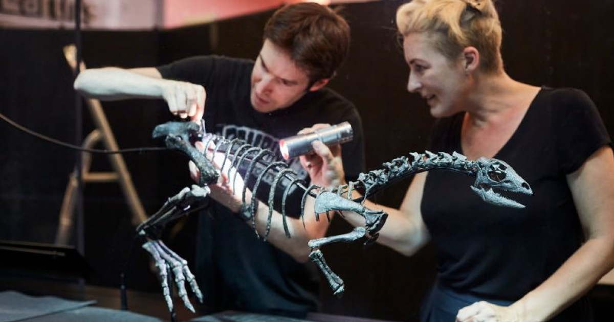 Tudósok állítják össze a csontvázat