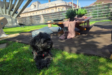 Borítókép: 7 budapesti nyári program, ami kárpótol, ha nincs a közelben vízpart