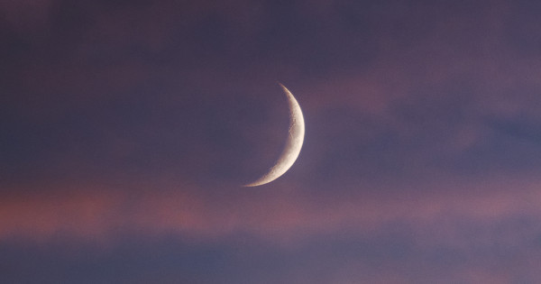 Borítókép: 3 csillagjegy, akinek hatalmas változást vesz az élete még júniusban - nekik kész áldás lesz a Oroszlán újhold!