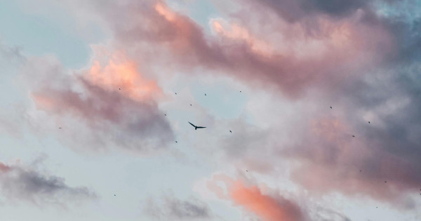 Borítókép: 5 csillagjegy, akinek sorsfordító leckét tanítanak a következő napok - heti horoszkóp: július 28. - augusztus 3.