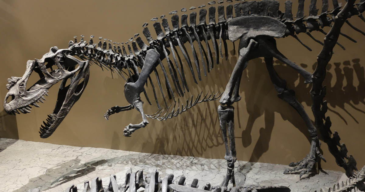 10 különleges tárgy, amiért vagyonokat fizettek egy aukción