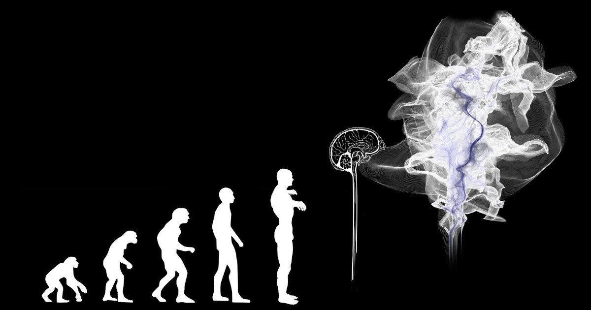 Hogyan tovább, emberi evolúció?