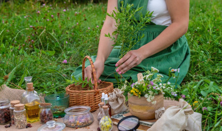 Borítókép: Mit rejt a nyár végi természet? 9 gyógynövény, amit augusztusban érdemes begyűjtened