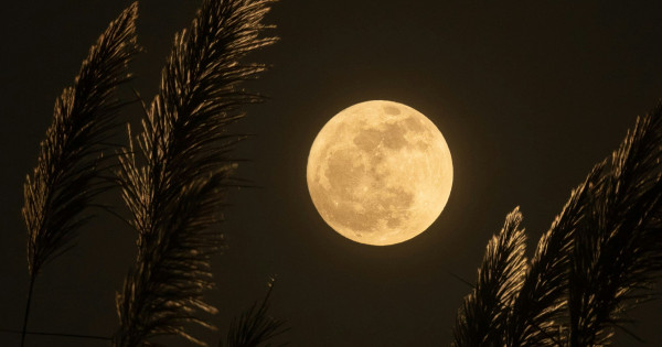 Borítókép: 4 csillagjegy, akiknek szerencsét és boldogságot hoz az augusztusi telihold: rájuk nagyon pozitívan hat az Tokhal Hold!