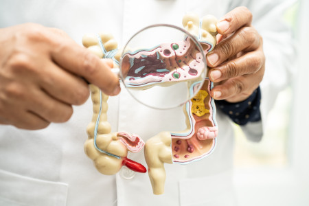 Borítókép: „Nem sok olyan emberrel találkoztam, akinek teljesen egészséges lett volna a bélflórája” – Interjú Szász Máté biológussal