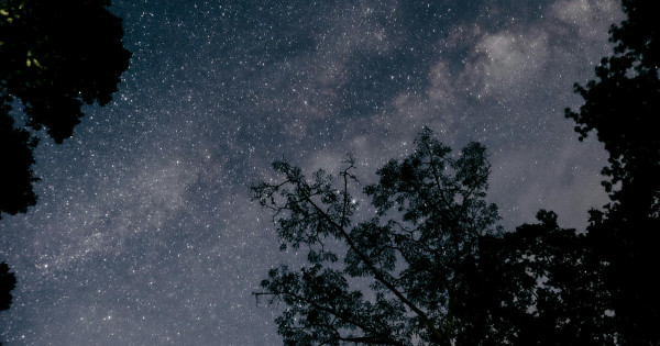 Borítókép: 2 csillagjegy, akinek ezen a héten hatalmas szerencsét vesz a sorsa - teljesen megváltozik az életük augusztus 25-31. között!