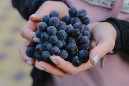 Borítókép: Itt a szőlőszezon: 8 ok, amiért érdemes ezt a fürtös finomságot fogyasztanod