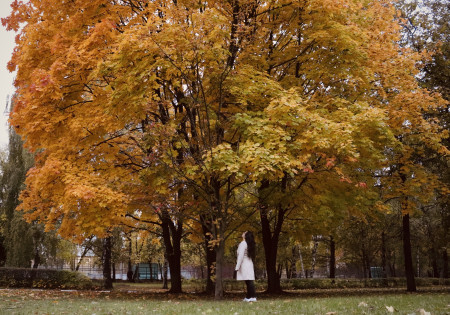 Borítókép: Hivatalosan is beköszöntött az ősz: hétindító idézet és hangulatos régi képek az őszi Budapestről