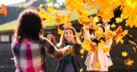 Borítókép: Az ezerarcú Skanzen – múzeum, közösségi tér, rendezvényhelyszín