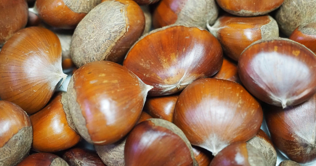 Borítókép: Ha ősz, akkor gesztenyemánia: 7 ok, amiért nem hiányozhat az étrendedből