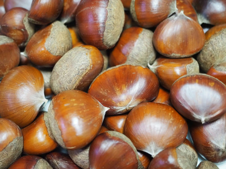 Borítókép: Ha ősz, akkor gesztenyemánia: 7 ok, amiért nem hiányozhat az étrendedből