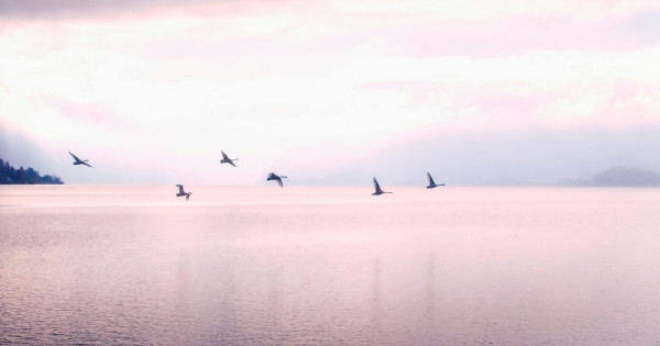 Borítókép: 3 csillagjegy, akinek sorsfordító felismerést hoznak szeptember utolsó napjai - heti horoszkóp: szeptember 29. - október 5.