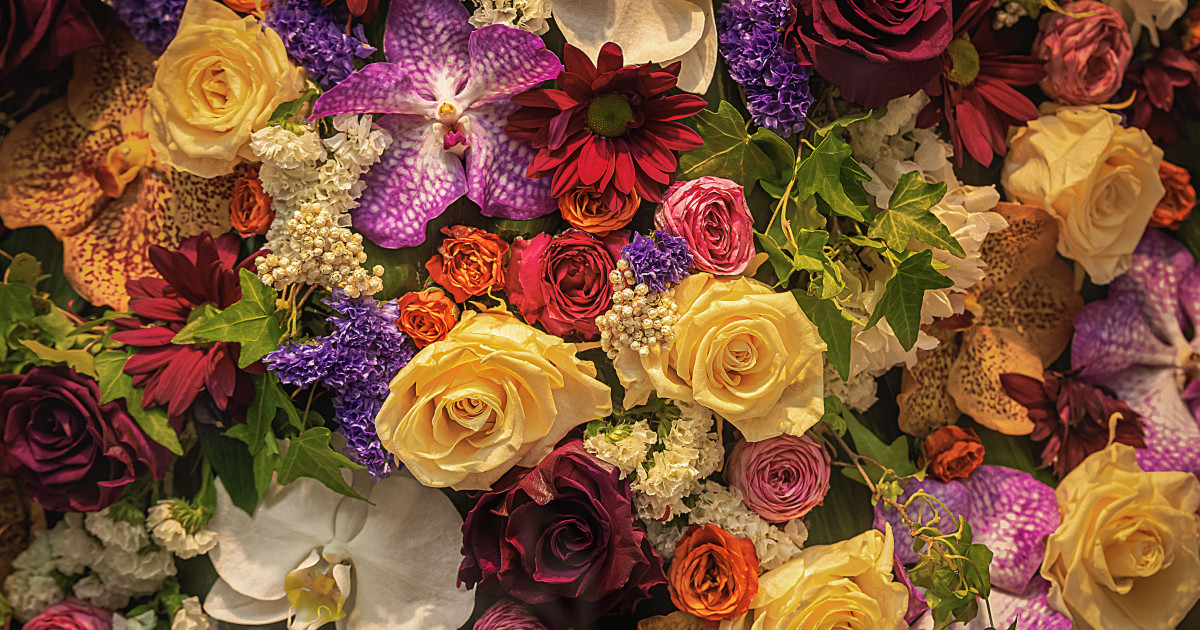 Különböző színes virágfejek kiterítve, felülről fotózva. 